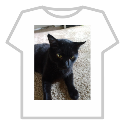 Cute kitty cat 🐈 thumbnail